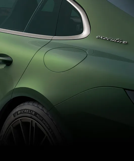 Porsche Panamera Turbo E-Hybrid Executive in Oak Green Metallic. Detailed view of the closed charging socket on the side.